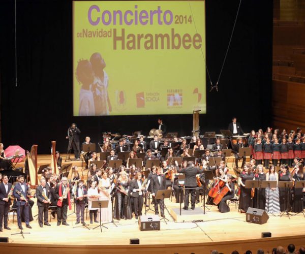 Concierto de Año nuevo de la Joven Orquesta, en el Miguel Delibes.fto Henar Sastre